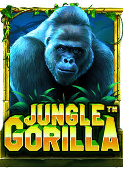 pg365 slot เทคนิคการเล่นและโบนัสที่คุณควรรู้